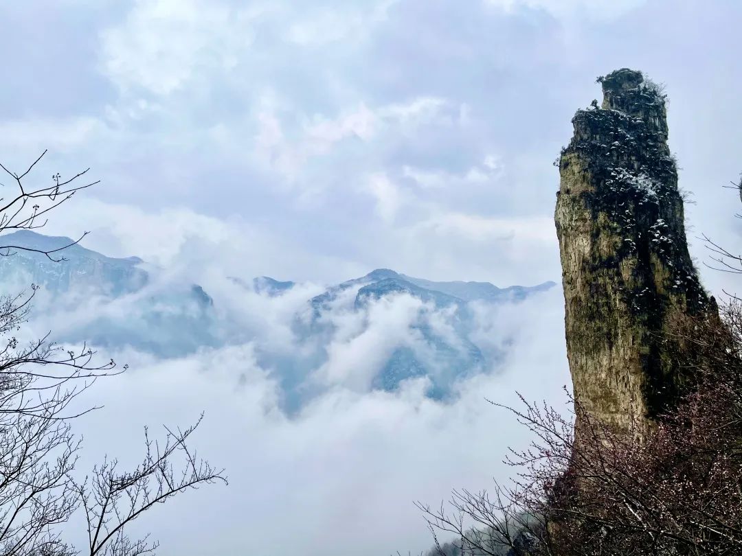 新乡“限定版”冬日美景