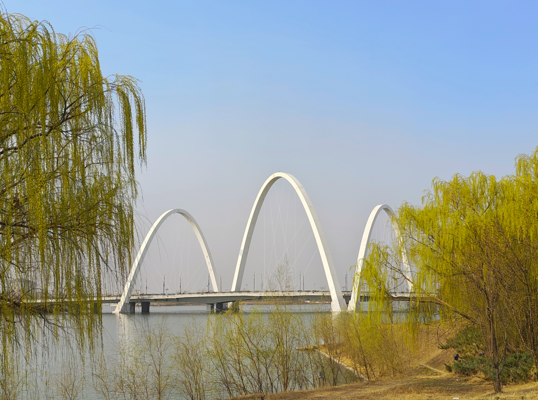 行走河南·读懂中国 | 一起打卡郑开马拉松赛沿途美景