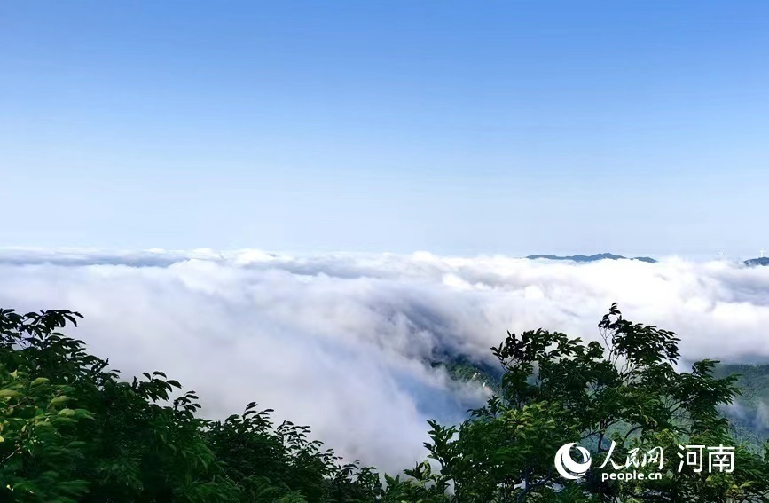 【行走河南·读懂中国】鸡公山：雨后云海美如画