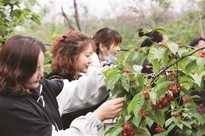【行走河南·读懂中国】<br>洛阳西工区：乡村振兴绘新景 富美红山入画来