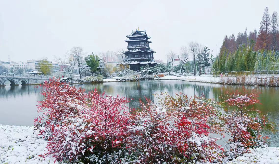 平舆：雪落无声意悠悠