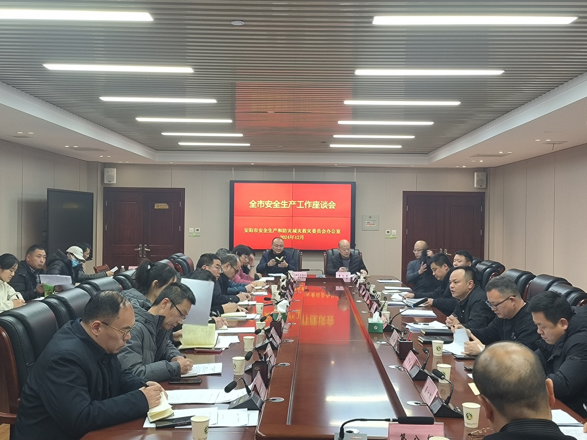 安阳市召开安全生产领域工作座谈会