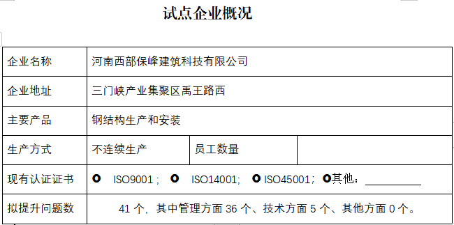 河南西部保峰建筑科技有限公司