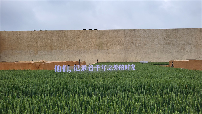 “行走河南·读懂中国”入境游产品研发工作营在郑州启动