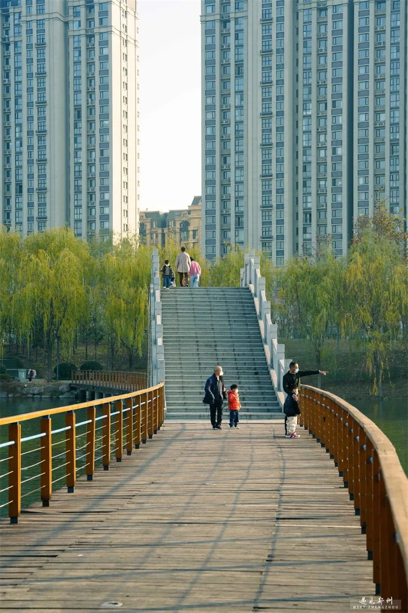 在新郑轩辕湖湿地公园 遇见斑斓多彩的初冬