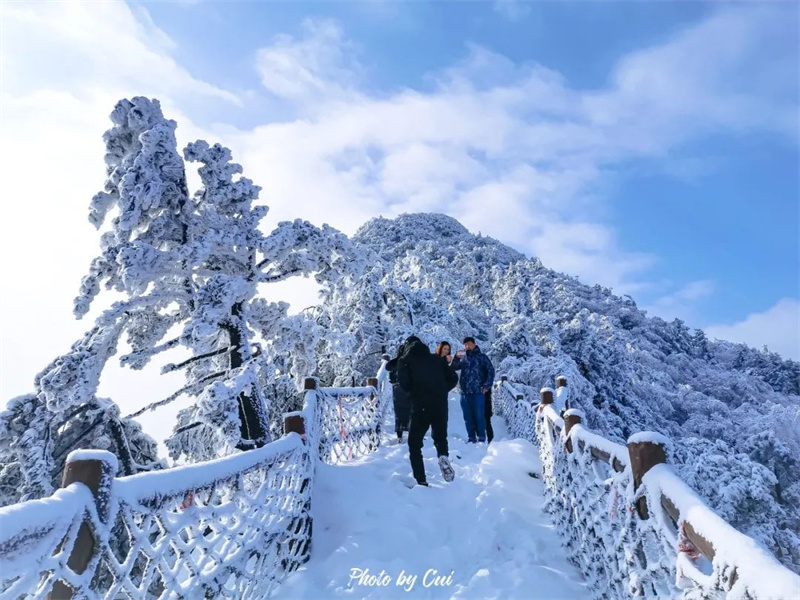 洛阳白云山开园倒计时2天