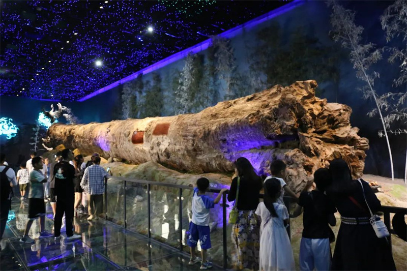 動物園親近虎,神木博物館親近烏木,品味龍虎文化,東北莊體驗原生態