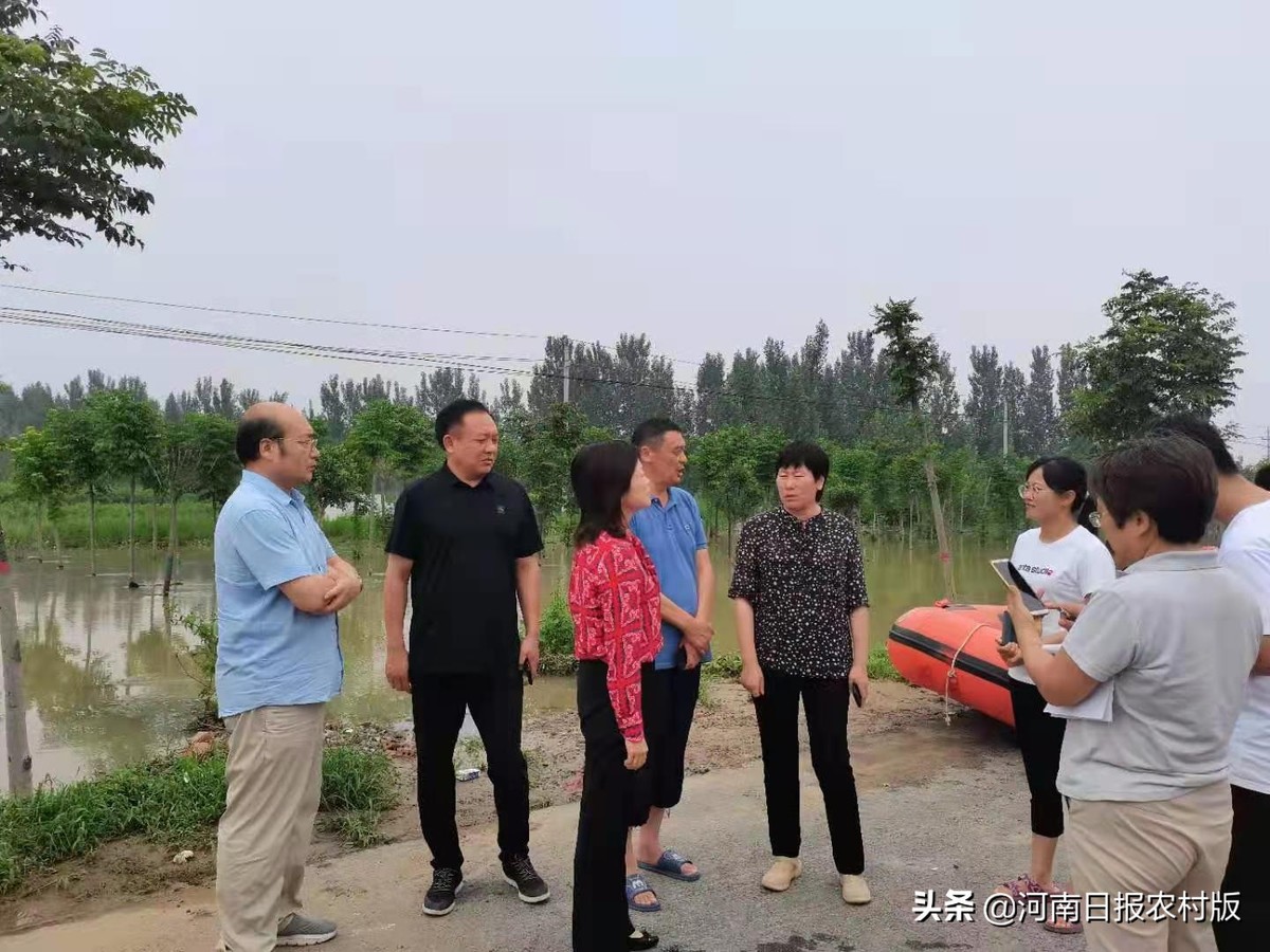 河南省农业农村厅第九指导组到开封开展农业生产救灾指导