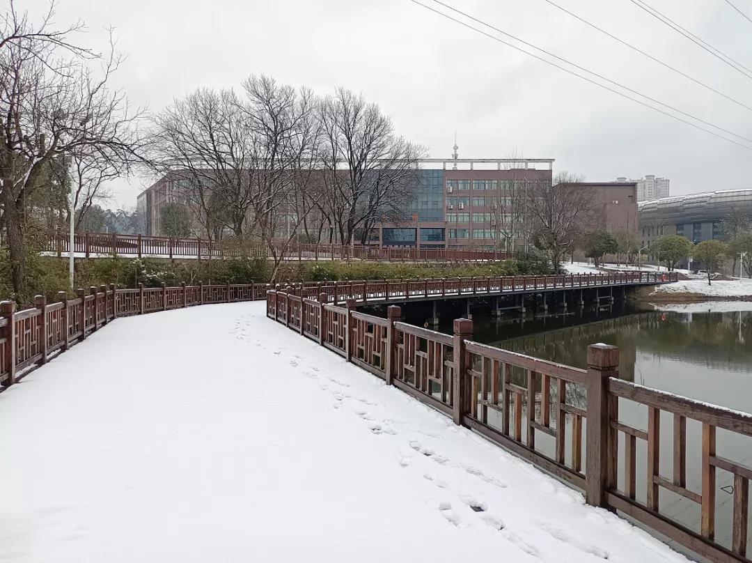 瑞雪兆丰年！你那里下雪了吗？