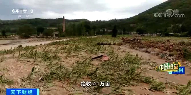 【央视财经频道重磅聚焦】河南省副省长武国定：暴雨洪灾致1515万亩农作物受灾 全省粮食全年总产量仍有望达1300亿斤