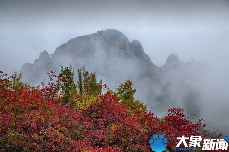 【行走河南·读懂中国】林州:赏红叶、观云海 秋日太行美如画 【行走河南·读懂中国】林州:赏红叶、观云海 秋日太行美如画