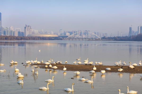 开启湿地保护新篇章 6月1日起这部法律正式实施