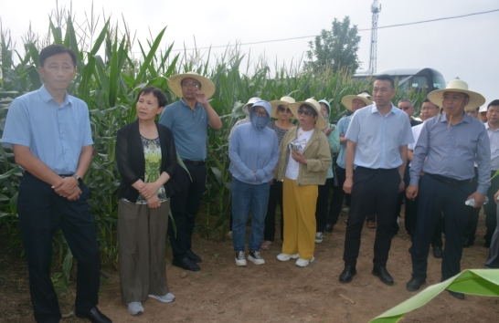 河南省农业技术推广总站召开全省秋粮作物单产提升及中后期防灾减灾技术培训会