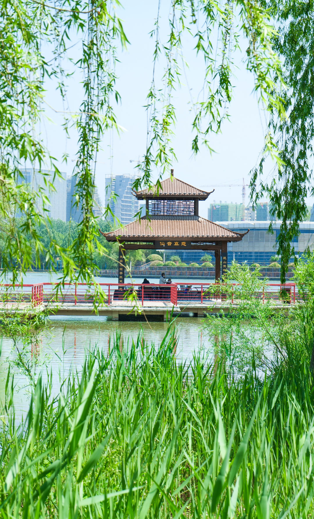 行走河南·读懂中国丨感受绿博园夏日的魅力