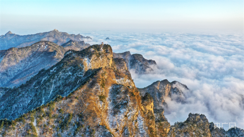 行走河南·读懂中国｜南阳老界岭：今春第一场雪后迎壮美云海