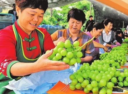 黄金周的N种打开方式丨多彩金秋 采撷美好