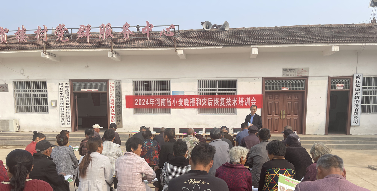 省农技总站赴商丘市开展晚播小麦技术指导服务