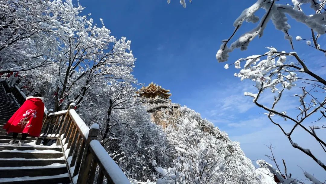 老君山雪一落就美成了詩