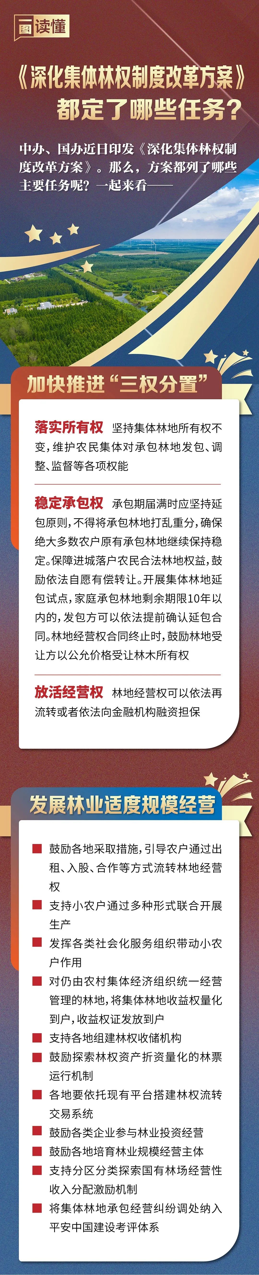 一圖讀懂｜《深化集體林權(quán)制度改革方案》都定了哪些任務(wù)？