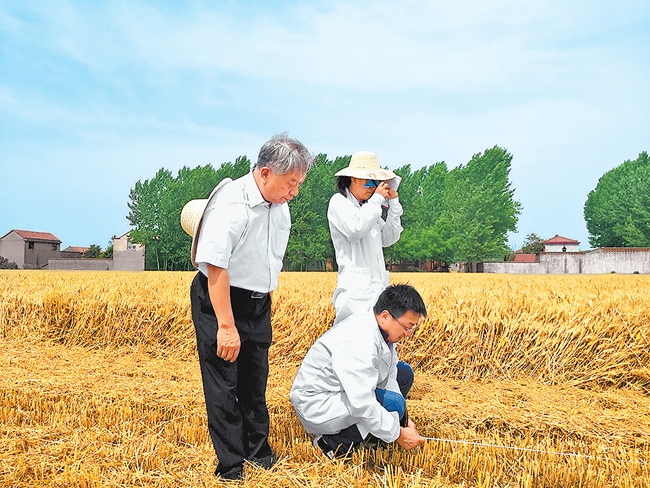 迎接二十大 中原更出彩·总书记与河南人民心连心丨郭天财： 年年都能吃上白面馍