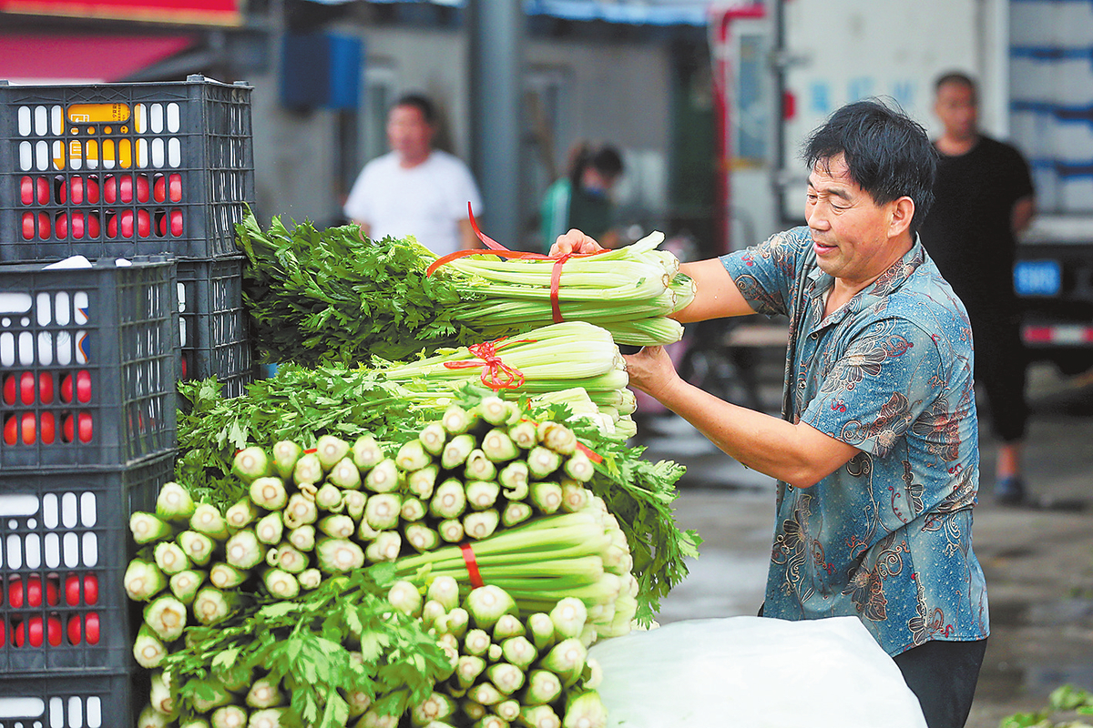 托稳“菜篮子”