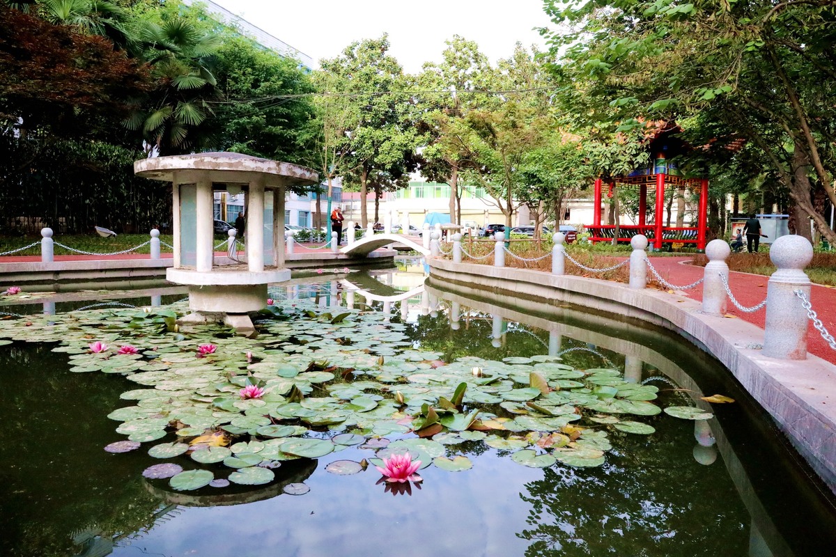 【行走河南·读懂中国】漯河：城市游园让生活更美好