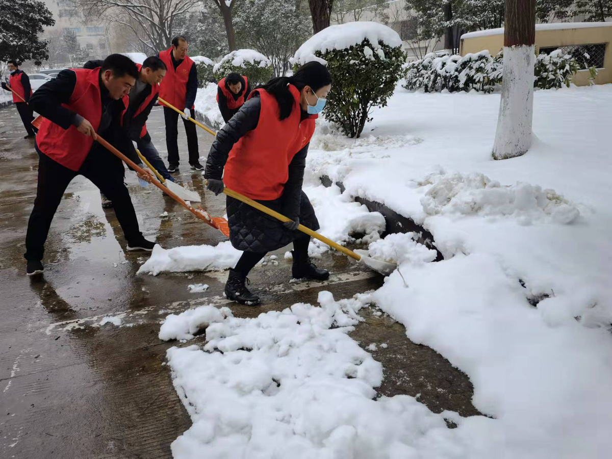 扫雪除冰保畅通 志愿服务暖人心—河南省乡村振兴局组织机关志愿者