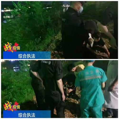 “好人好事”展风采 河南城管树形象