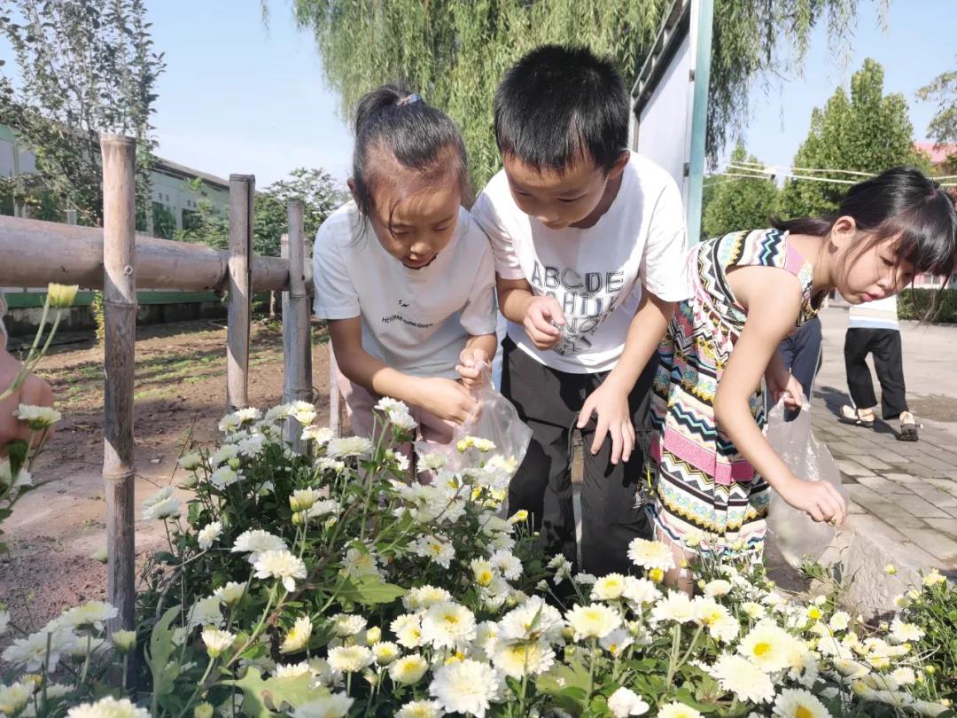 致敬劳动，礼赞丰收