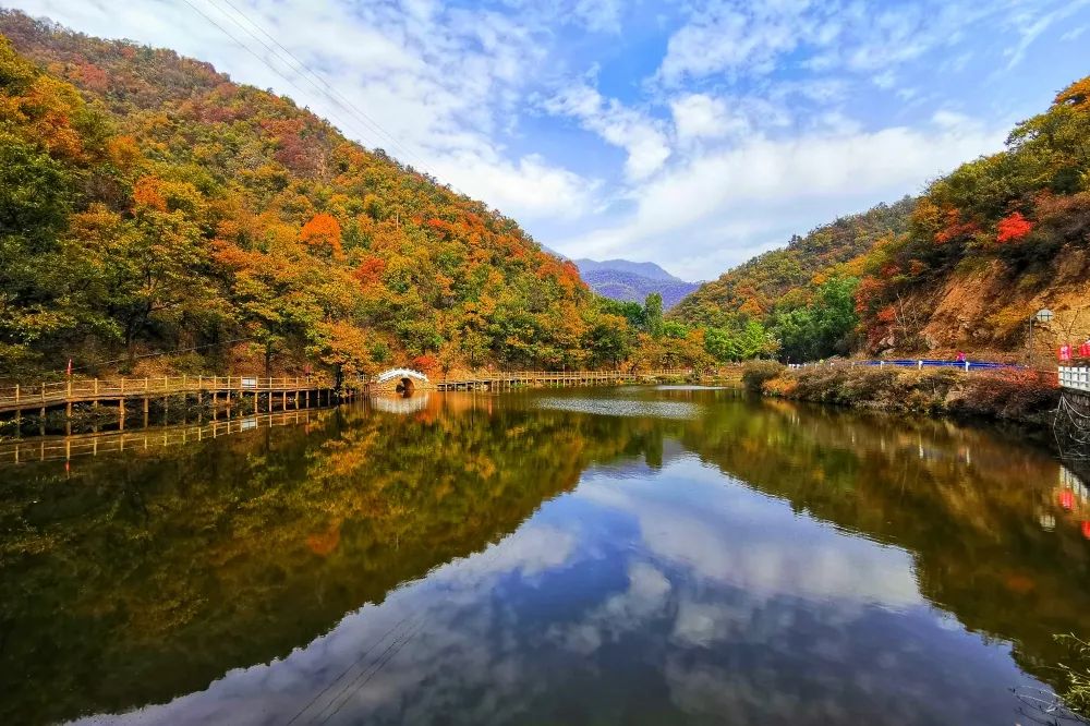 【行走河南·读懂中国】一起打卡济源的神仙秋景 【行走河南·读懂中国】一起打卡济源的神仙秋景