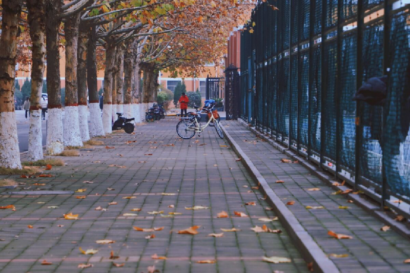 那些年，你走过的大学校园路