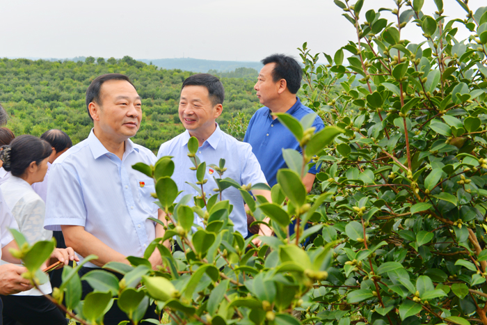 图/文：省林业局第三期“两山”大讲堂在光山举办