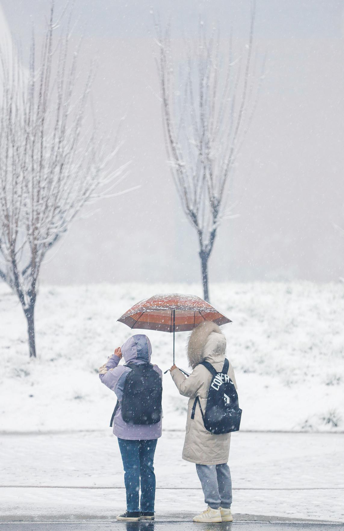 雪中校园