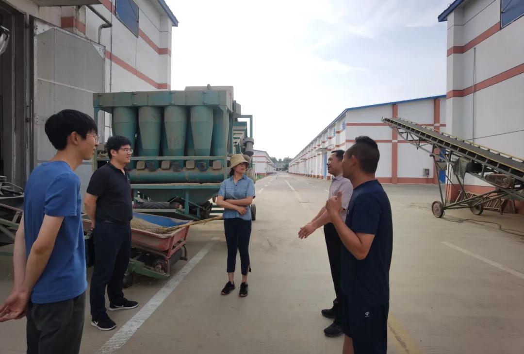 郑州粮食批发市场有限公司领导到收储一线调研督导工作