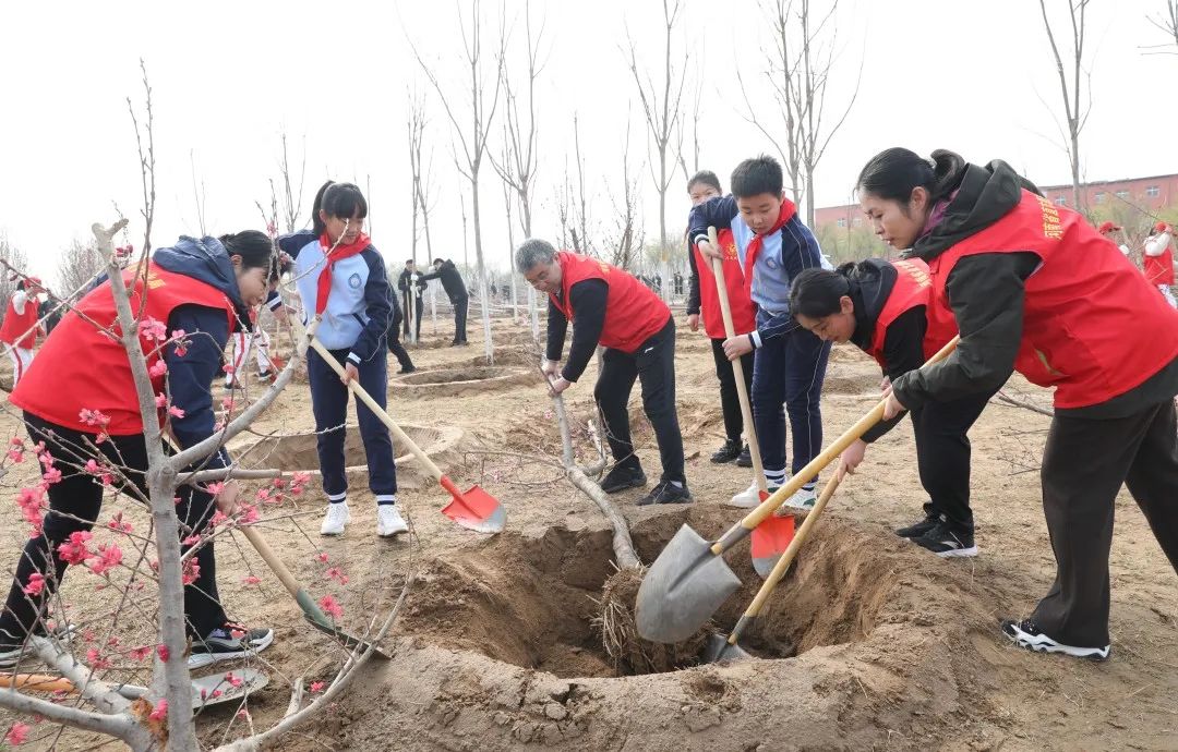 省林业局组织开展全民义务植树活动