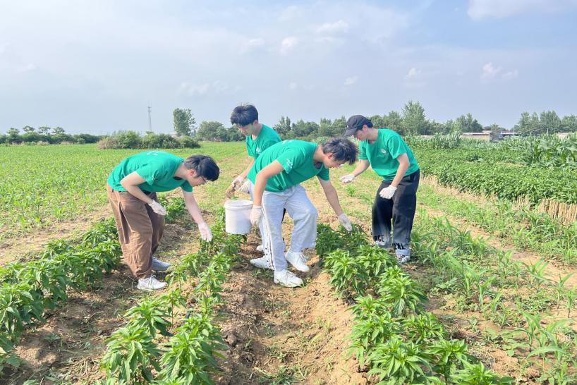 近百万人参与 河南学子的暑假社会大课堂丰富多彩！