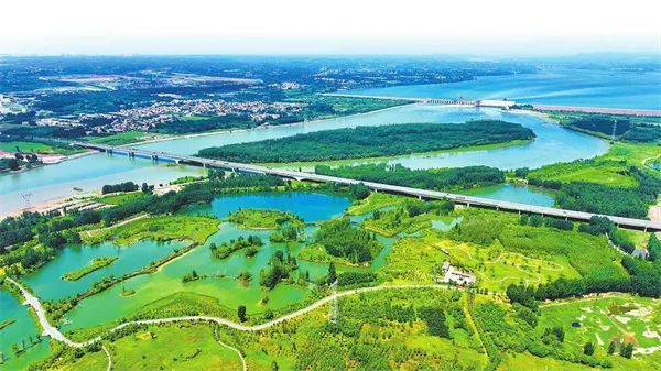 洛阳市孟津区：  黄河湿地自然保护区美不胜收
