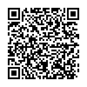 河南省营业性演出准予许可决定 410000522023000238