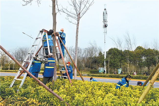 植一棵树 造一片林 增一抹绿  今年河南省已造林 215.5万亩 