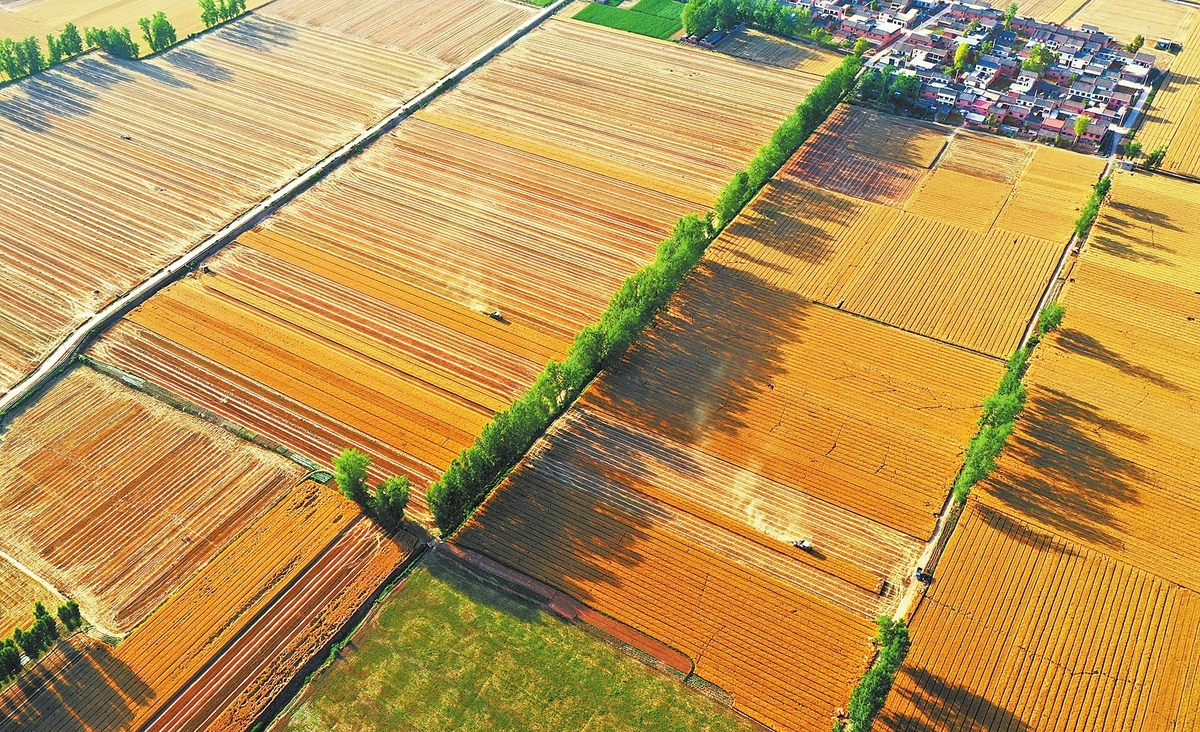 今年河南粮食总产量首次跨越1350亿斤台阶