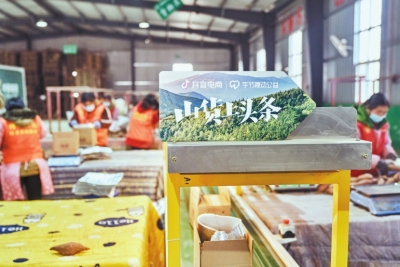 借短视频直播走向全国开封小蜜薯成“致富薯” 