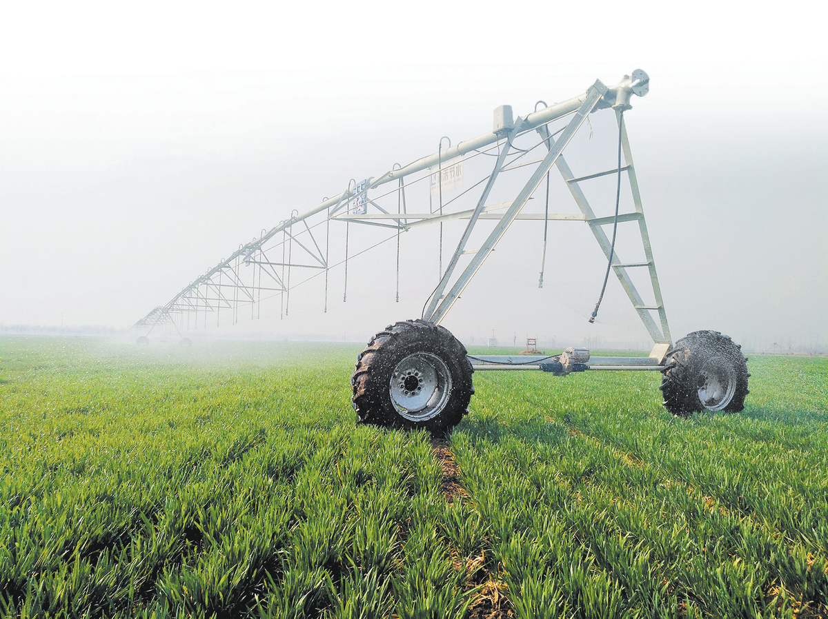 河南发布冬小麦春季测墒灌溉技术指导意见 浇麦有了科学细则 