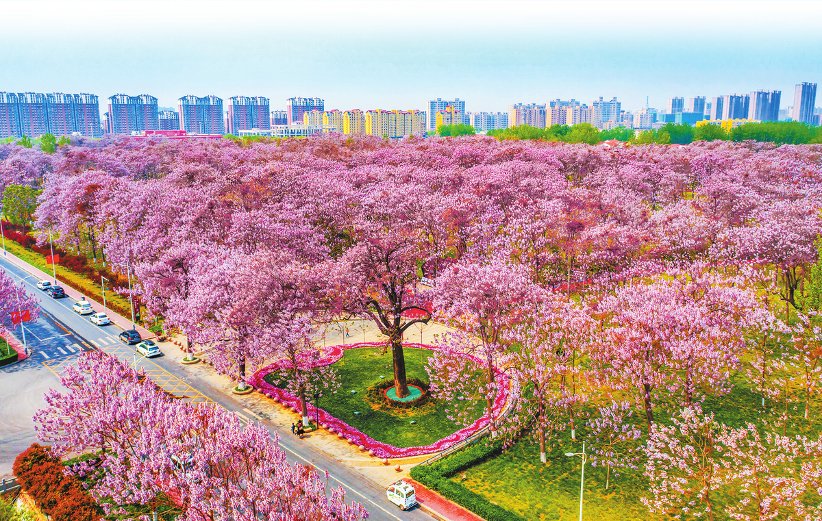纪念焦裕禄诞辰100周年丨兰考赶考