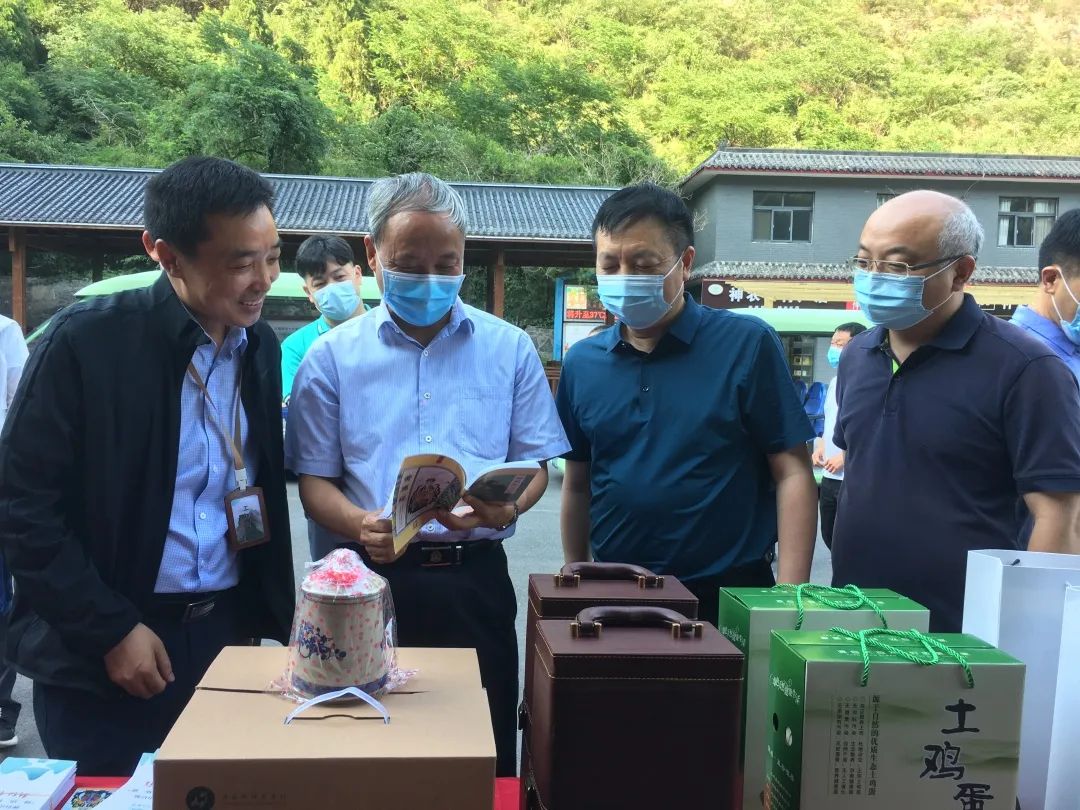 宫松奇到沁阳调研文旅文创融合发展和项目建设情况