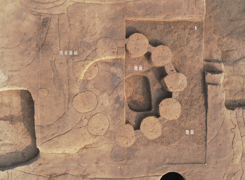 2020年度全国十大考古新发现初评结果揭晓，河南三大考古项目入围