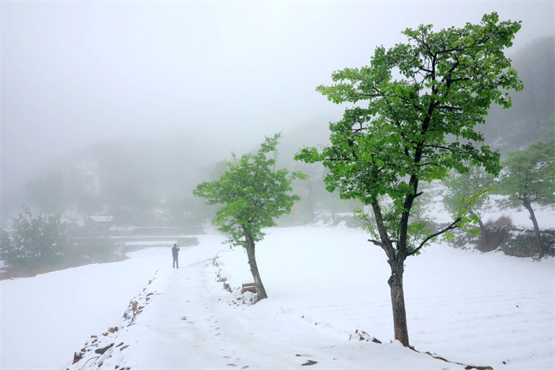 行走河南·读懂中国丨安阳林州： 春雪罩青山 美景如画卷