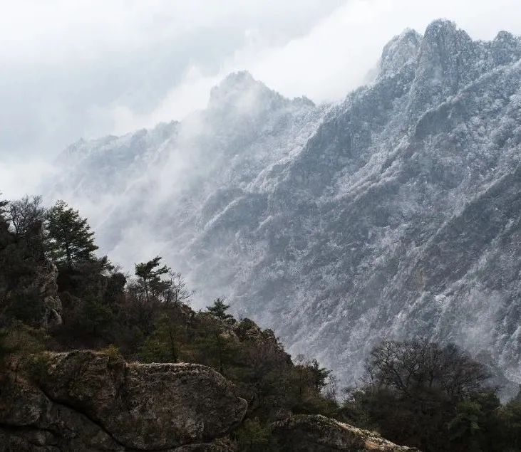 穿越时间长河，云赏老君山历年雪景