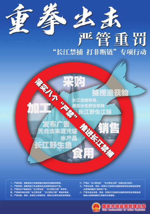 行动.png