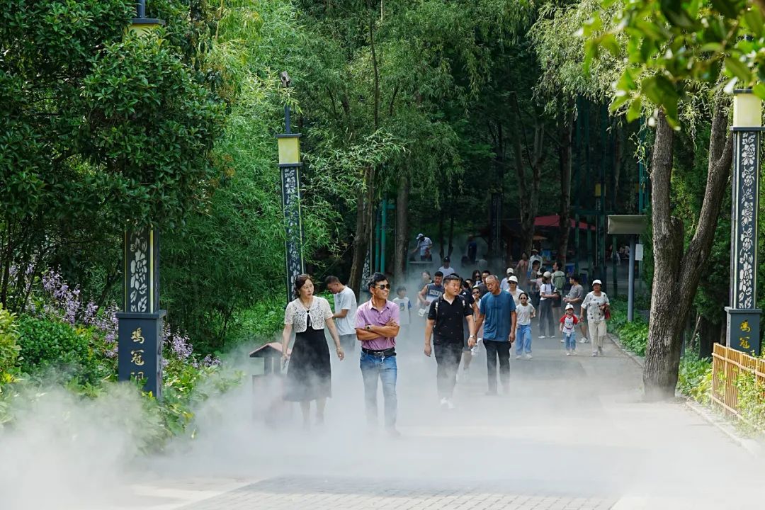 大美河南 | 鸡冠洞：暑去凉来 惬意满怀
