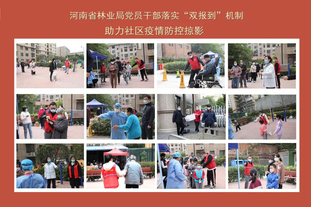 省林业局持续开展党员“双报到”助力疫情防控工作